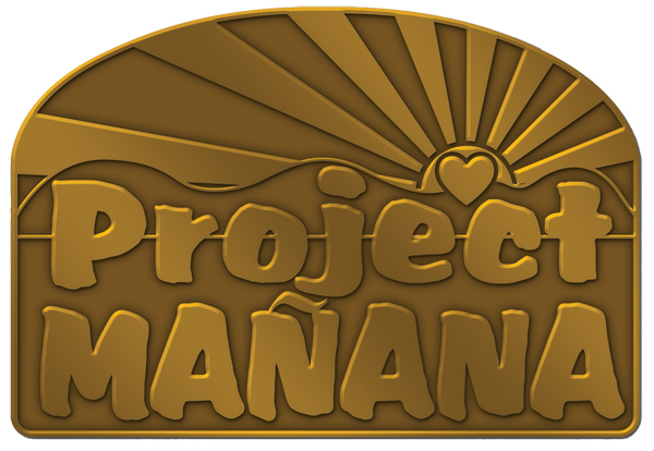Project Mañana Lapel Pin - Bronze
